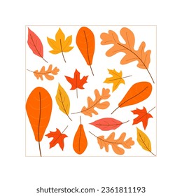 autumn season leaf illustration. autumn leaves set, isolated on white background. simple cartoon flat style, vector illustration.