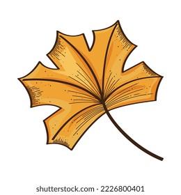 autumn season leaf plant icon