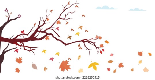 Autumn season leaves falling down from a tree, a beautiful view of the day, colorful background, vector stock image, and clouds in the background