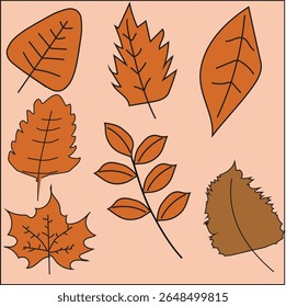 Autumn season leaves hand drawn illustration foliage.