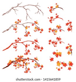 autumn season maple tree branches - bright fall season vector design set