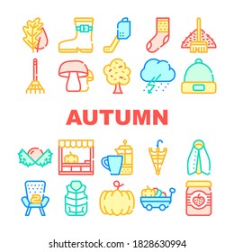 Autumn Season Objects Collection Icons Set Vector. Tree Leaves And Rake, Mushrooms And Pumpkin, Sock And Shoe, Umbrella And Armchair Concept Linear Pictograms. Color Contour Illustrations