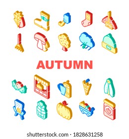Autumn Season Objects Collection Icons Set Vector. Tree Leaves And Rake, Mushrooms And Pumpkin, Sock And Shoe, Umbrella And Armchair Isometric Sign Color Illustrations