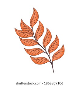 autumn season orange branch with leafs plant nature vector illustration design