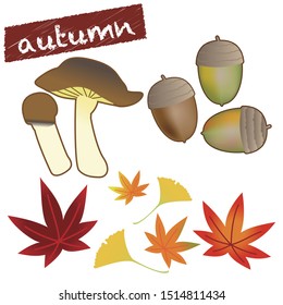 
Autumn season plants and mushrooms