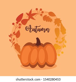 autumn season pumpkin and leafs icons vector illustration design