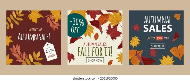 Autumn season sales banners. Set of square offer leaflets with fall leaves, labels and discount texts. Blue, golden, brown, orange and red tones. Maple leaf backgrounds. Vectorized and flat design.