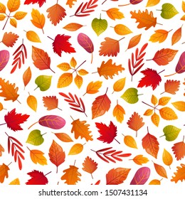 Autumn season seamless pattern. Colorful fall leaves on white backdrop. Vector background.