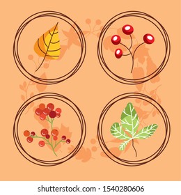 autumn season set circular frames vector illustration design