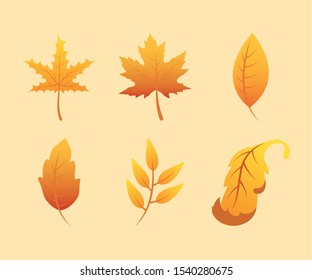 autumn season set leafs icons vector illustration design