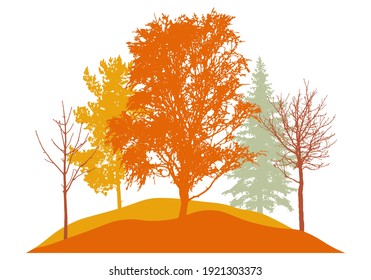 Autumn season, silhouette of birch, bare trees, fir trees and other. Beautiful nature, woodland. Vector illustration