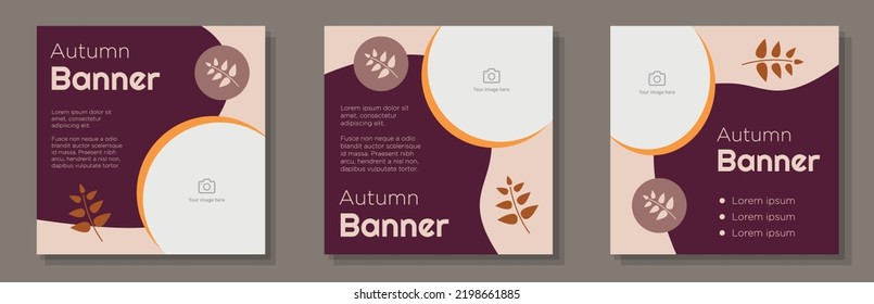 Autumn season social media post, banner set, fall seasonal advertisement concept, brown leaves marketing square ad template, October sale abstract print, isolated on background