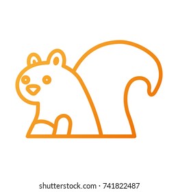 autumn season squirrel animal forest