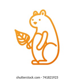 autumn season squirrel holding leaf forest