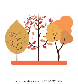 Autumn season trees and leaves nature cartoon vector illustration graphic design