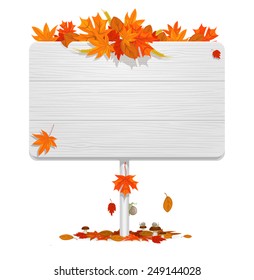 Autumn season white wooden background