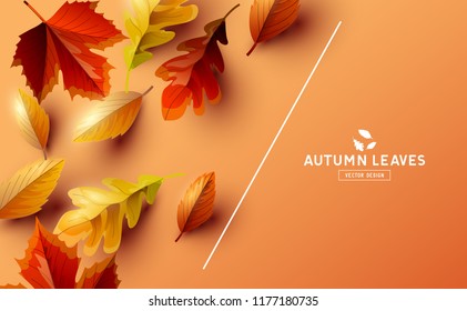Autumn seasonal background frame with falling autumn leaves and room for text. Vector illustration