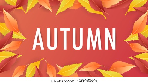 Autumn seasonal background frame with autumn leaves and copy space for text isolated on orange background , illustration Vector EPS 10
