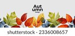 Autumn seasonal background with long horizontal border made of falling autumn green, golden, red and orange colored leaves isolated on background. Hello autumn vector illustration