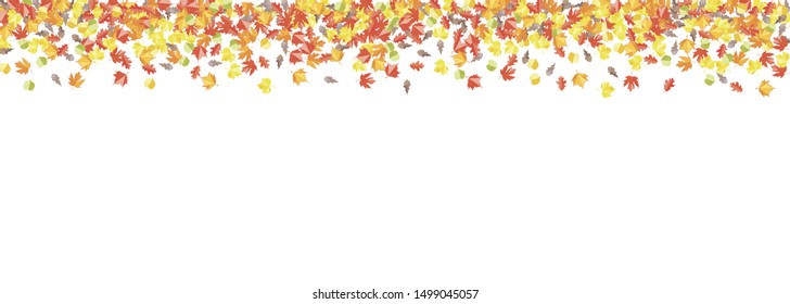 Autumn seasonal banner with maple oak ash leaves. Scattered red orange foliage  decoration on white background. Vector fall flat illustration.