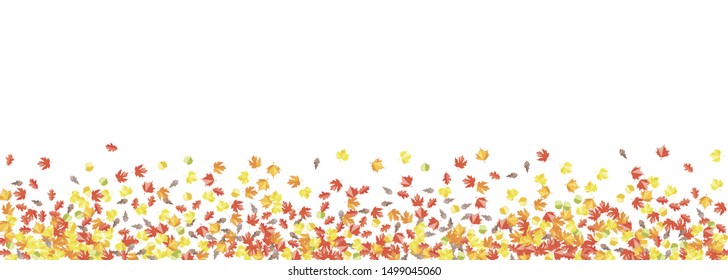 Autumn seasonal banner with maple oak ash leaves. Scattered red orange foliage  decoration on white background. Vector fall flat illustration.