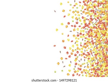 Autumn seasonal decoration. Scattered  autumn leaves frame. Vector fall illustration.