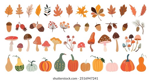 Autumn seasonal elements collection, different type of pumpkins, mushrooms, leaves and acorns, decorative design isolated on white background