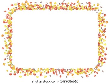 Autumn seasonal frame with maple oak ash leaves. Scattered red orange foliage  decoration on white background. Vector fall flat illustration.