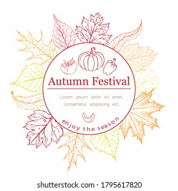 Autumn seasonal poster or banner with autumn leaves, vegetables and lettering in fall colors on white. Autumn greetings cards or corn festival invitation, flyer template. Vector autumn illustration.