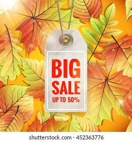 Autumn seasonal sale label. EPS 10 vector file included