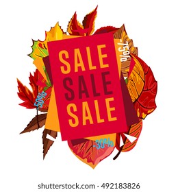 Autumn seasonal sale webs templates, vector illustration. Ultimate sale this week only. Best price posters on color background with autumn leaves. 