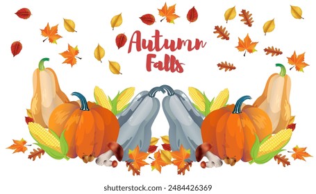 Autumn Seasonal Vegetables on white background. Pumpkins, leaves and corns. illustration for holiday harvest festival or farm market