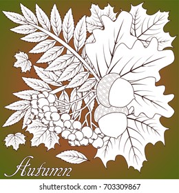 Autumn seasonal wallpaper, vector illustration