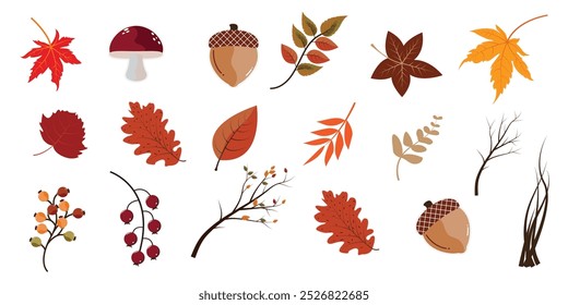 Sessão de outono ornamento vetor fundo realista folhas