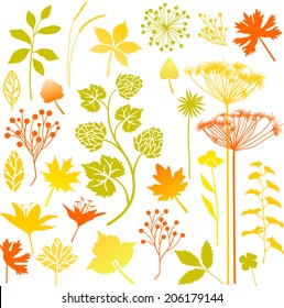 Autumn set