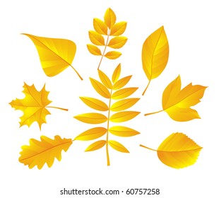 autumn set