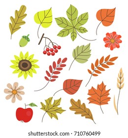 autumn set
