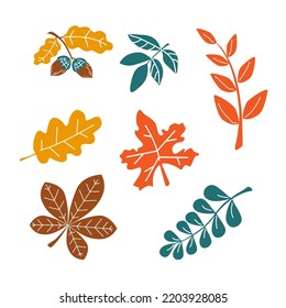 Autumn set of abstract leaves, maple, oak, chestnut, acorn leaves . Vector illustration