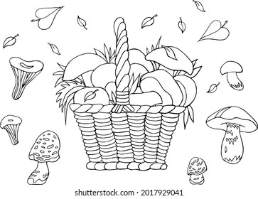 Autumn set with a basket and mushrooms. Vector illustration.