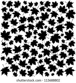 Autumn Set of Black Maple Leaves on White Background, Vector Version