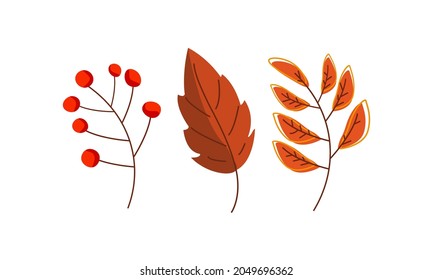 Autumn set of branches with leaves and forest berries. Three branches of red and orange tones isolated on a white background
