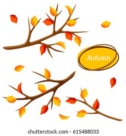 Autumn set with branches of tree and yellow leaves. Seasonal illustration.