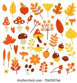 Autumn set of bright elements as leaves, berries and mushrooms.