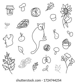 Autumn set with cat,mushrooms,leaves,cappuccino, squirrel,plaid,fern,jar with jam,mandarin,pear, firewood,sunflower.Clip art black line in doodle style. Design for card,packages,web.