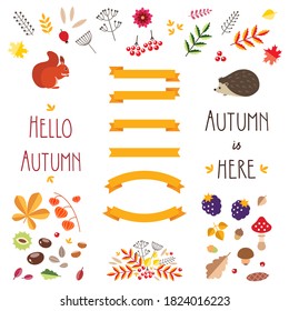 Autumn set. Collection of fall season design elements: colorful leaves, plants, berries, animals, yellow ribbons and autumn quotes. Can be used for autumn greeting cards, invitations or banners. Vec
