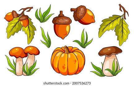 Autumn set. Collection of autumn items. Mushrooms, pumpkin, acorns, grass, oak leaves. Cartoon style. Vector illustration for design and decoration.