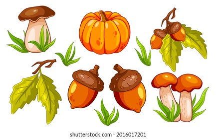 Autumn set. Collection of autumn items. Mushrooms, pumpkin, acorns, grass, oak leaves. Cartoon style. Vector illustration for design and decoration.