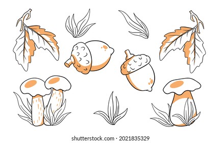 Autumn set. Collection of autumn items. Mushrooms, acorns, grass, oak leaves. Line style. Vector illustration for design and decoration.