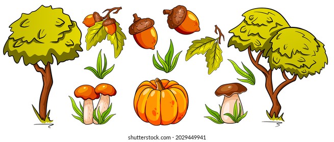 Autumn set. Collection of autumn items. Mushrooms, pumpkin, acorns, grass, oak leaves, trees. Cartoon style. Vector illustration for design and decoration.