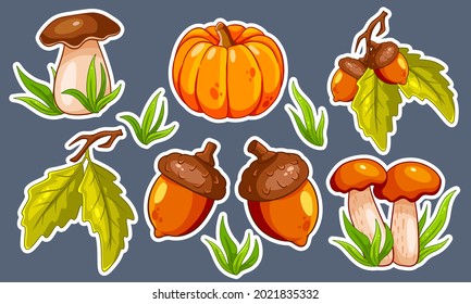 Autumn set. Collection of autumn items. Stickers. Mushrooms, pumpkin, acorns, grass, oak leaves. Cartoon style. Vector illustration for design and decoration.